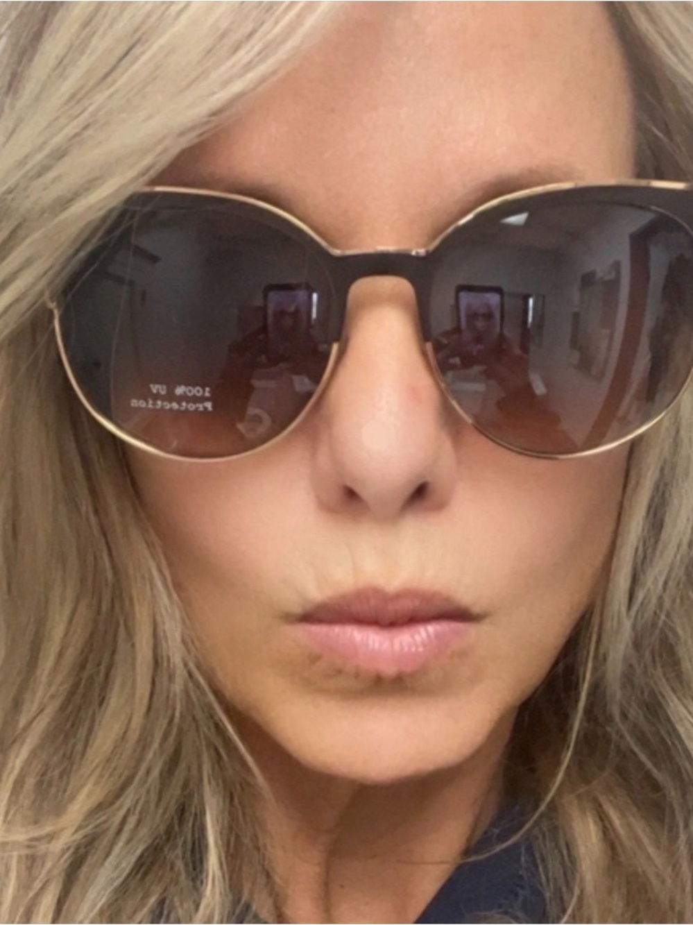 Palm Harbor Optics Sunglasses Brown Lens Sunglasses with Gold Frame